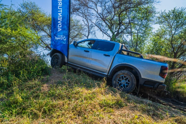 Adobe Express – file (2)