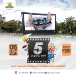 Ultimate Movie Night under the stars at Lion Park Resort